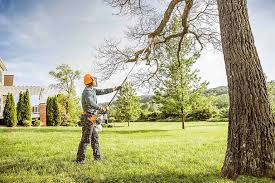 Best Tree Trimming and Pruning  in Wyandanch, NY